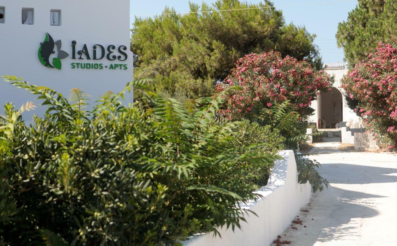 Iades Studios & Apartments Agia Anna  Екстериор снимка